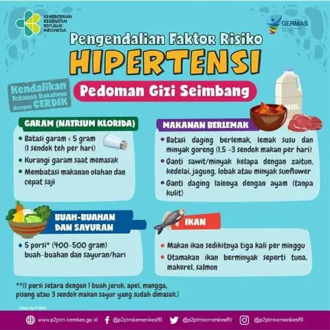 Flyer Kemenkes Tentang Minyak Goreng Sawit Dituding Menyesatkan