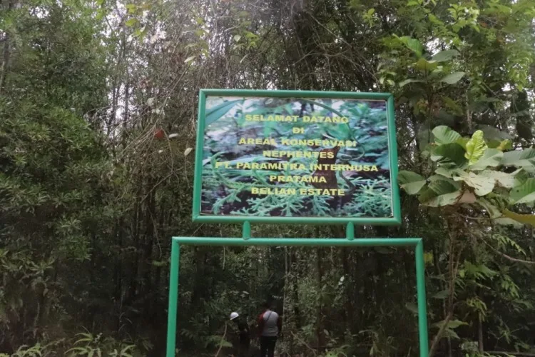 Tanah Harapan Elaeis (Bagian LVXII)