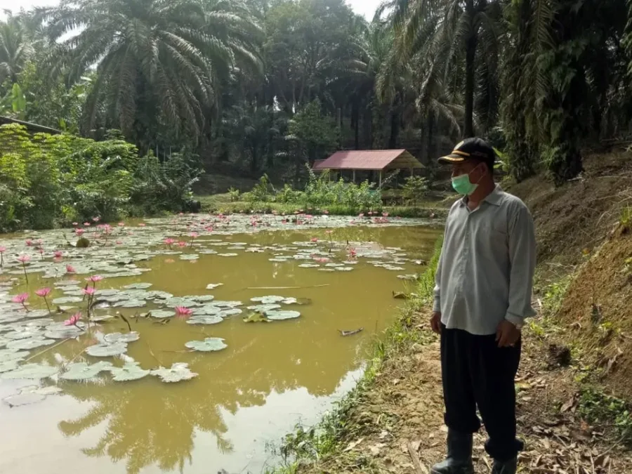 Wakil Menteri Luar Negeri RI Tegaskan Pentingnya Pemanfaatan Aset Kekayaan Intelektual untuk Pengembangan Industri Kreatif dan UMKM