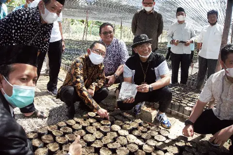 Stafsus Wapres Kunjungi Kebun Pembibitan Santripreneur UKMK Sawit Binaan BPDPKS dan APKASINDO
