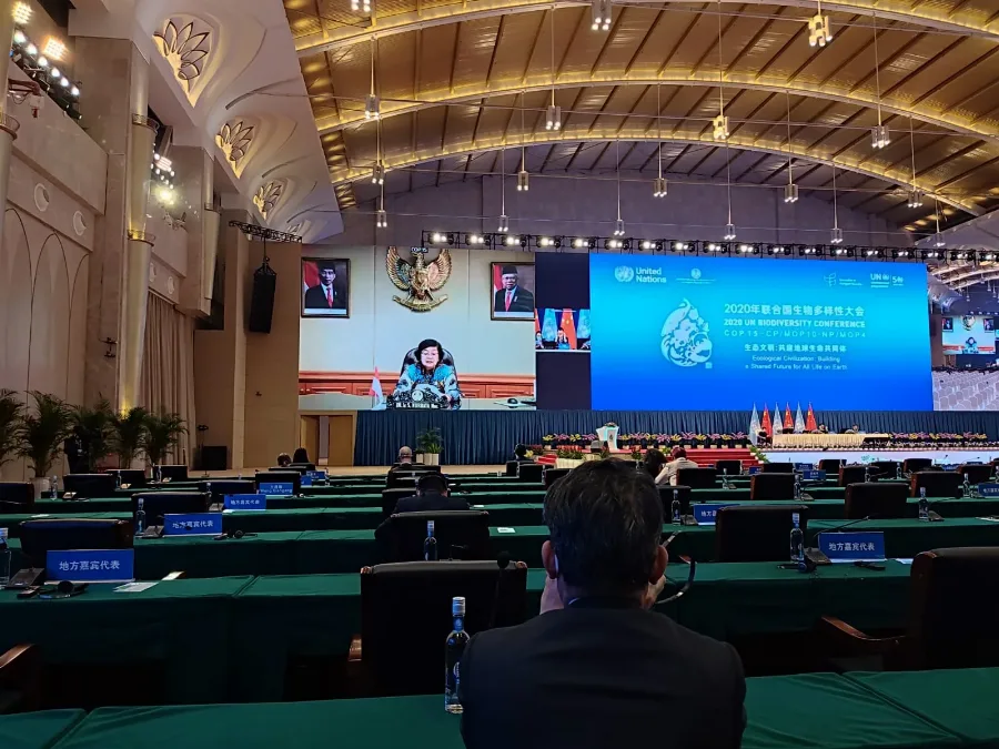 Komitmen Dunia Menuju “Living In Harmony With Nature” dan Membangun Komitmen untuk Mengadopsi Post – 2020 Global Biodiversity Frame Work