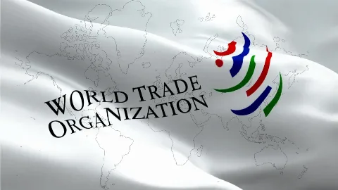 Indonesia Meraih Kemenangan Parsial Dalam Sengketa di WTO