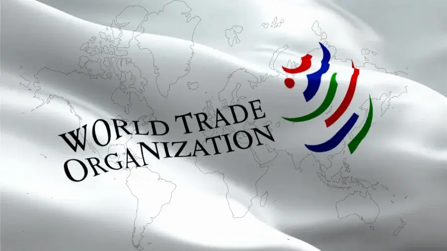 Indonesia Meraih Kemenangan Parsial Dalam Sengketa di WTO