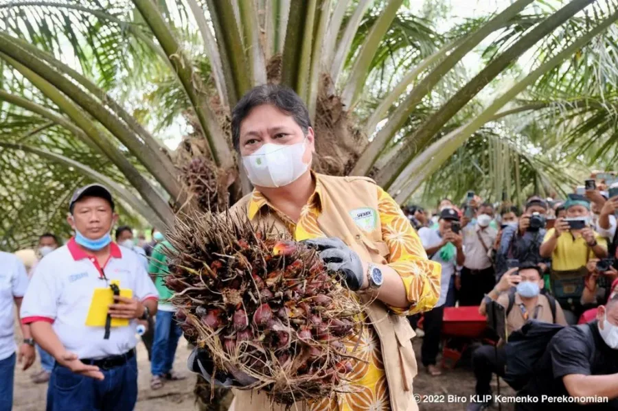 Pemerintah Akselerasi Implementasi Program Peremajaan Sawit Rakyat dengan Menerapkan Good Agriculture Practice Melalui Kerjasama Strategis Multipihak
