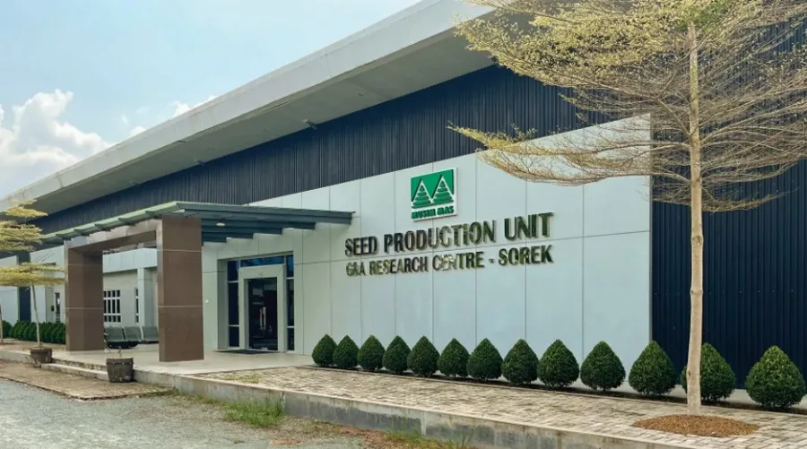 Musim Mas Perkuat Bisnis Benih Sawit, Kenalkan Empat Varietas Unggul di SIEXPO 2026