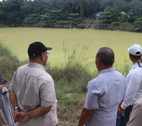 Kementan Perkuat Mitigasi Iklim untuk Lindungi Komoditas Perkebunan