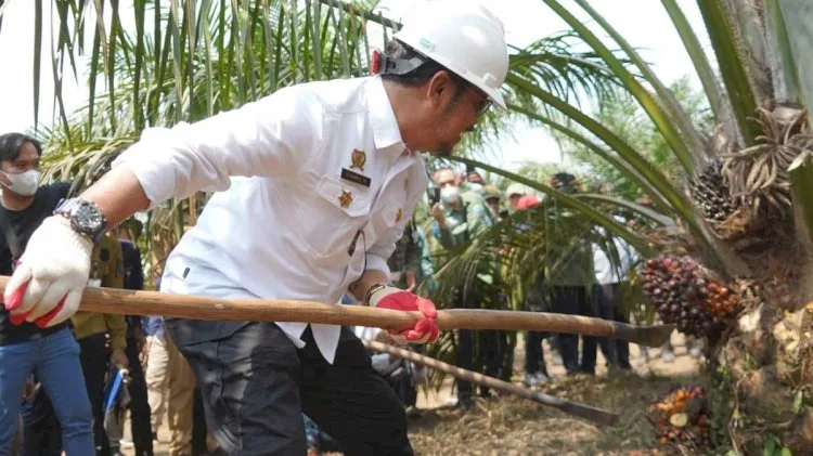 Menteri Pertanian Mendorong Provinsi Sumatera Selatan Menjadi Percontohan Terbaik Dalam Mengelola Perkebunan Sawit Nasional
