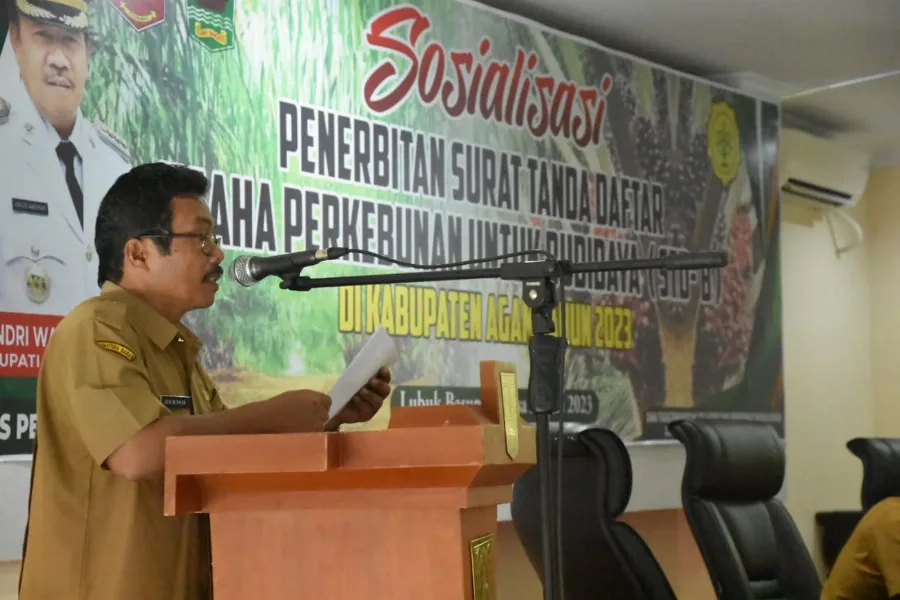 Perkebunan Kelapa Sawit di Kabupaten Agam Mencapai 38.227 Hektar dan Kelapa Sawit Menjadi primadona Pendongkrak Ekonomi Masyarakat