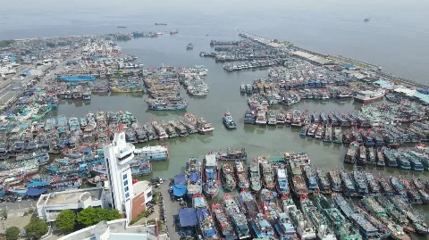 Dana Sawit Rp1,5 Triliun Subsidi Solar Nelayan, Bagaimana Nasib Petani Sawit?
