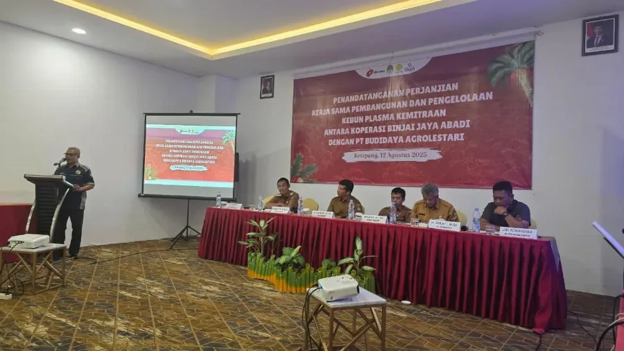 PT Budidaya Agrolestari Menandatangani Perjanjian Kerja Sama Pembangunan dan Pengelolaan Kebun Plasma Kemitraan Dengan Koperasi Binjai Jaya Abadi
