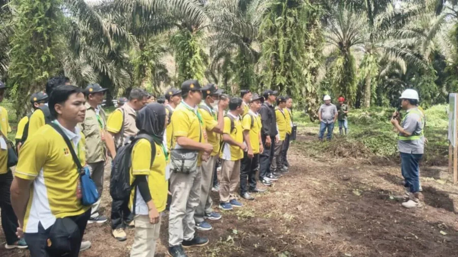Field Trip ke Kebun PT BGA: AKPY, BPDP dan Ditjenbun Berikan Pengalaman Belajar di Lapangan kepada Peserta Pelatihan