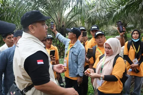 Kunjungan Lapang Ke Koperasi Produsen Tunas Muda, 181 Peserta Dari 4 Kabupaten Di Riau, Dapatkan Pencerahan Dan Inspirasi Untuk Harga TBS Dan Pendapatan Terbaik, Program Pelatihan dariI BPDP – DITJENBUN – BPI