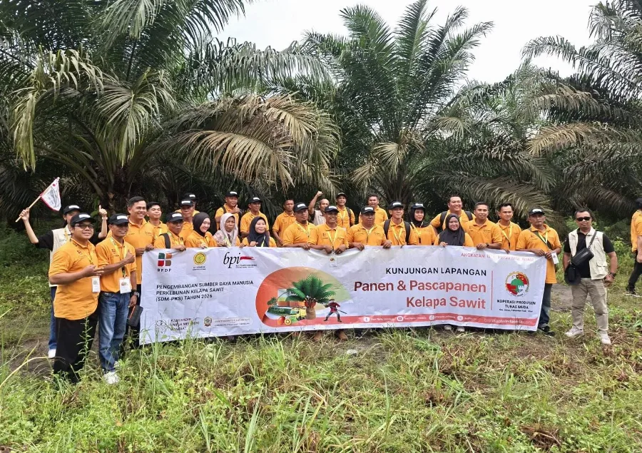 Kolaborasi yang Kuat dari BPDP – Ditjenbun – BPI, Tingkatkan  Sumber Daya Pekebun Sawit di Riau melalui Pelatihan Panen dan Pasca Panen