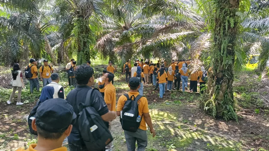 BPDP, Ditjenbun Riau, dan BPI Kembali Melatih 128 Pekebun dari Kabupaten Rokan Hilir Membuat Pupuk Organik, Pupuk Hayati, dan Pembenah Tanah Secara Mandiri