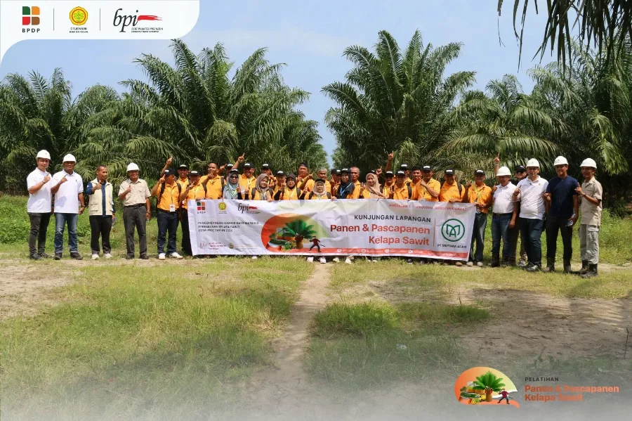 Meningkatkan Kualitas Panen dan Pasca Panen Petani Sawit Sumbar: BPDP dan BPI Kembali Latih Petani Kelapa Sawit Sumatera Barat.