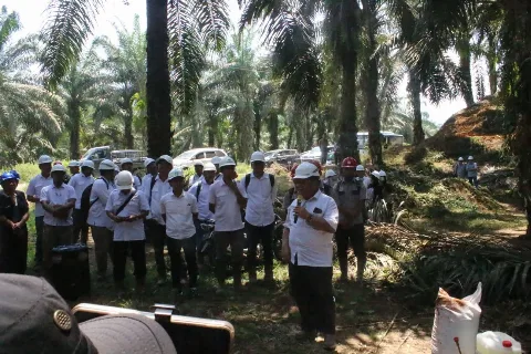 PT CWE-BPDP-Ditjenbun Dorong Petani Mamuju Tingkatkan Produktivitas Sawit