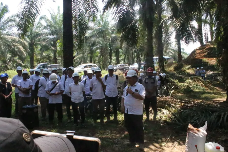 PT CWE-BPDP-Ditjenbun Dorong Petani Mamuju Tingkatkan Produktivitas Sawit