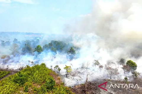 Asap Karhutla Kepung Kebun Sawit, FSBKS Kalbar Desak Perusahaan Hentikan Paksa Kerja Luar Ruangan