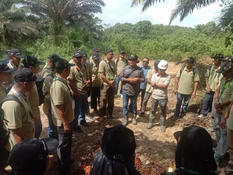 AJP Berbagi Pengalaman Lapangan, Ajak Pekebun Sawit Paser Terapkan Standar Panen untuk Tingkatkan Kualitas TBS
