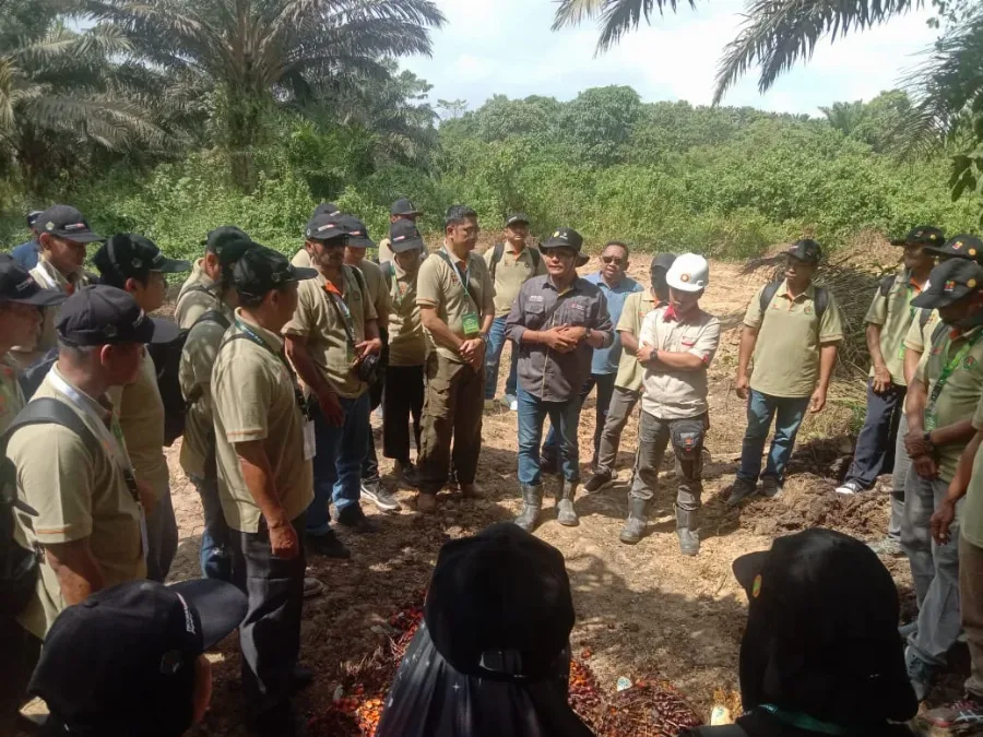 AJP Berbagi Pengalaman Lapangan, Ajak Pekebun Sawit Paser Terapkan Standar Panen untuk Tingkatkan Kualitas TBS