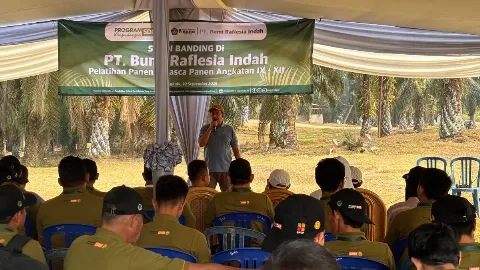 Field Trip ke Kebun Bumi Raflesia Indah, Pekebun Bengkulu Selatan Praktikkan Teknik Panen yang Tepat