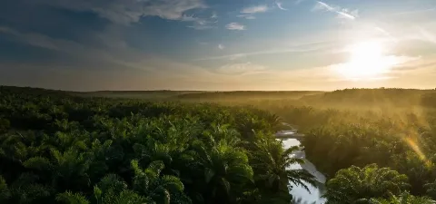 Siaga Hadapi Cuaca Ekstrem, Perusahaan Ini Beberkan Enam Strategi Ampuh Cegah Kebakaran Hutan dan Lahan
