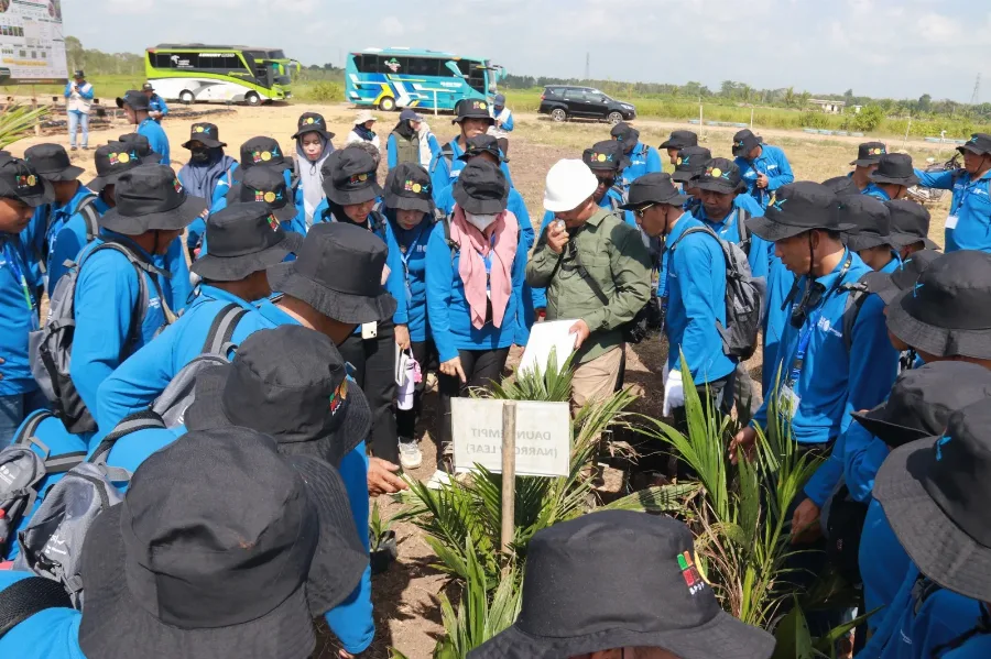 BPDP, Ditjenbun, dan IPB Training Perkuat Kompetensi Pekebun, Produktivitas Sawit Empat Lawang Ditarget Meningkat
