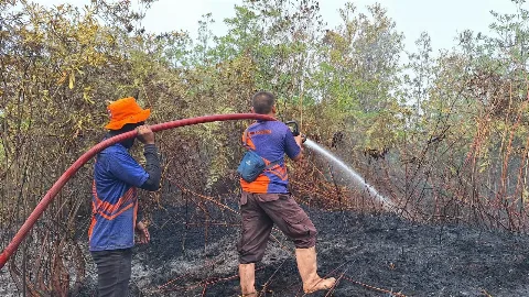 Fatamorgana Gugatan Kerugian Lingkungan: Bisnis "Ahli" Meracik Angka Seenaknya