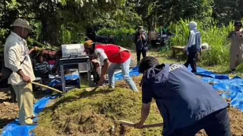 Sulap Limbah Jadi Berkah, Tim Ekspedisi Patriot UNAIR Latih Peternak Manokwari Buat Silase Pelepah Sawit