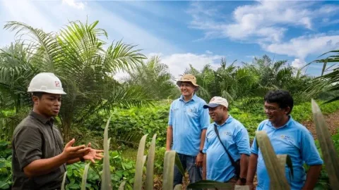 Kemitraan Sawit Berbuah Manis: KUD Sadar Sejahtera dan Sinar Mas Agribusiness and Food Mantap Jalankan Peremajaan 1.797 Hektare Lahan