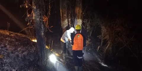 Aksi Tanggap Darurat, Dua Anak Usaha Astra Agro Bergerak Cepat Padamkan Kebakaran Lahan di Desa Marah Haloq