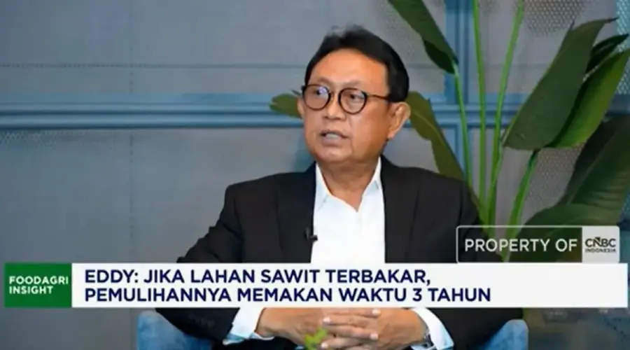 Dampak El Nino: Aliran Sungai Kering, Distribusi CPO di Kalimantan Barat Mulai Terhambat!