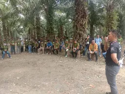 Field Trip ke KLS, 186 Pekebun Banggai Didorong Tingkatkan Produktivitas Sawit