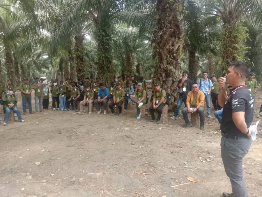 Field Trip ke KLS, 186 Pekebun Banggai Didorong Tingkatkan Produktivitas Sawit