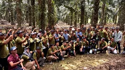 Field Trip ke Kebun KLS, 186 Peserta Pelatihan Banggai Perdalam Praktik Budidaya Sawit