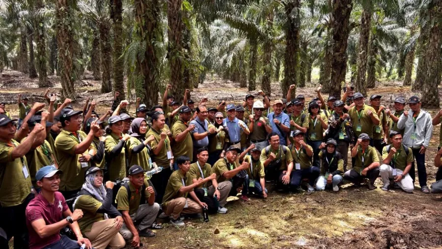 Field Trip ke Kebun KLS, 186 Peserta Pelatihan Banggai Perdalam Praktik Budidaya Sawit