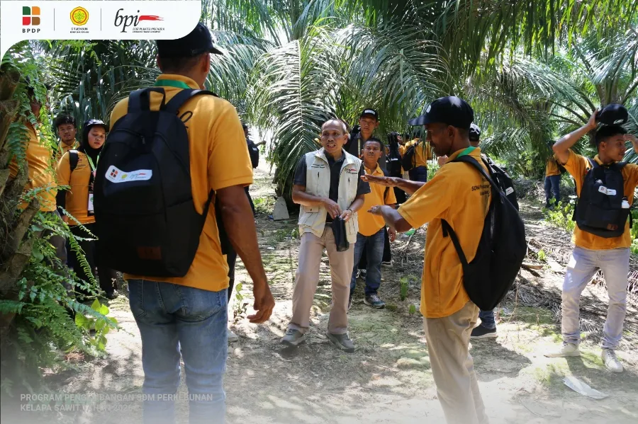 BPI Bersama DITJENBUN dan BPDP, Dorong Petani Swadaya TingkatkanI Produktivitas Melalui Pengelolaan Kebun Sawit Yang Berkelanjutan