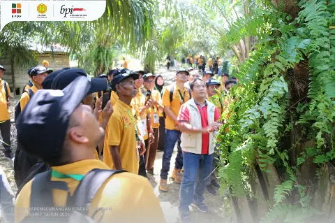 Menuju Perkebunan Berkelanjutan, Petani Sawit Aceh Ikuti Pelatihan Budi Daya Kelapa Sawit Bersama BPDP