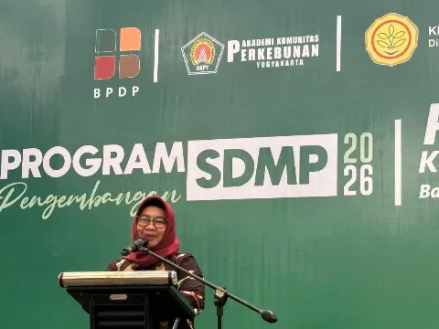 AKPY: Pelatihan dan Field Trip Perkaya Referensi Pekebun Paser Kelola Panen dan Pascapanen Sawit