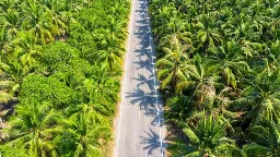 Rebound Tipis ke MYR4.793: India Pangkas Tarif Impor CPO, Angin Segar di Tengah Ancaman Stok Melimpah