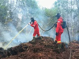 Kalteng Catat 261 Hotspot, Kemenhut Siagakan 61 Armada Udara dan Bentuk BPGMN