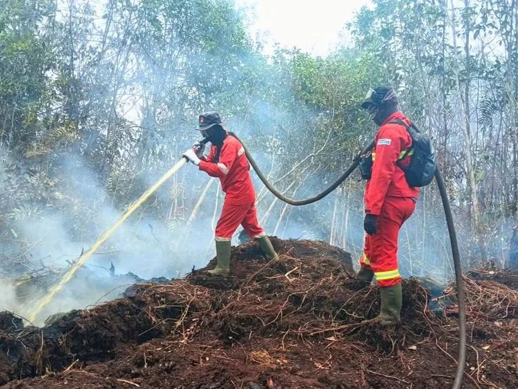 Kalteng Catat 261 Hotspot, Kemenhut Siagakan 61 Armada Udara dan Bentuk BPGMN