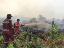 Hotspot Nasional Naik ke 331 Titik: Kalsel dan Sumsel Waspada, Kemenhut Siagakan 61 Armada Udara