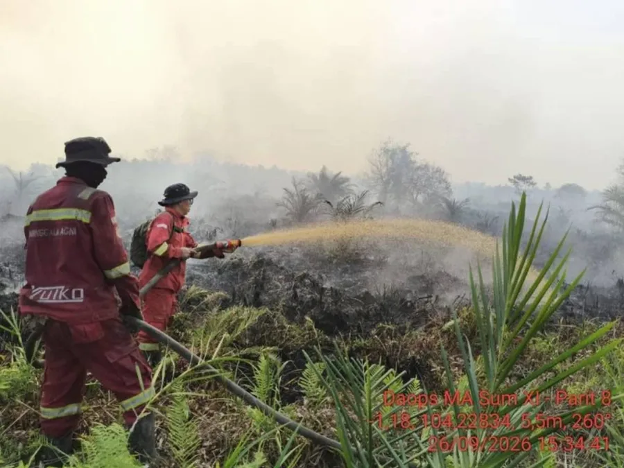 Hotspot Nasional Naik ke 331 Titik: Kalsel dan Sumsel Waspada, Kemenhut Siagakan 61 Armada Udara