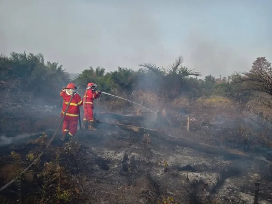 Bantu Warga Terdampak Karhutla di Belitung, PT FLD Salurkan 15 Ribu Liter Air Bersih dan Amankan Permukiman