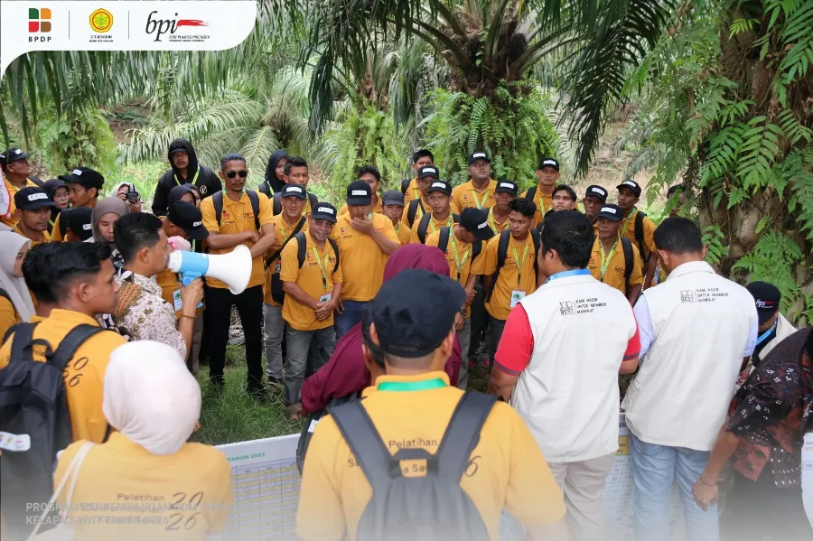 Belajar Pemupukan, Petani Sawit Aceh Timur Ikuti Pelatihan bersama BPDP