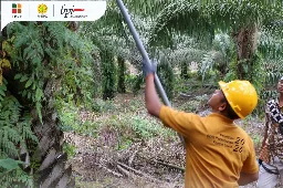 BPI dan BPDP Gelar Pelatihan Teknis Budidaya Kelapa Sawit Untuk Pekebun Aceh Timur