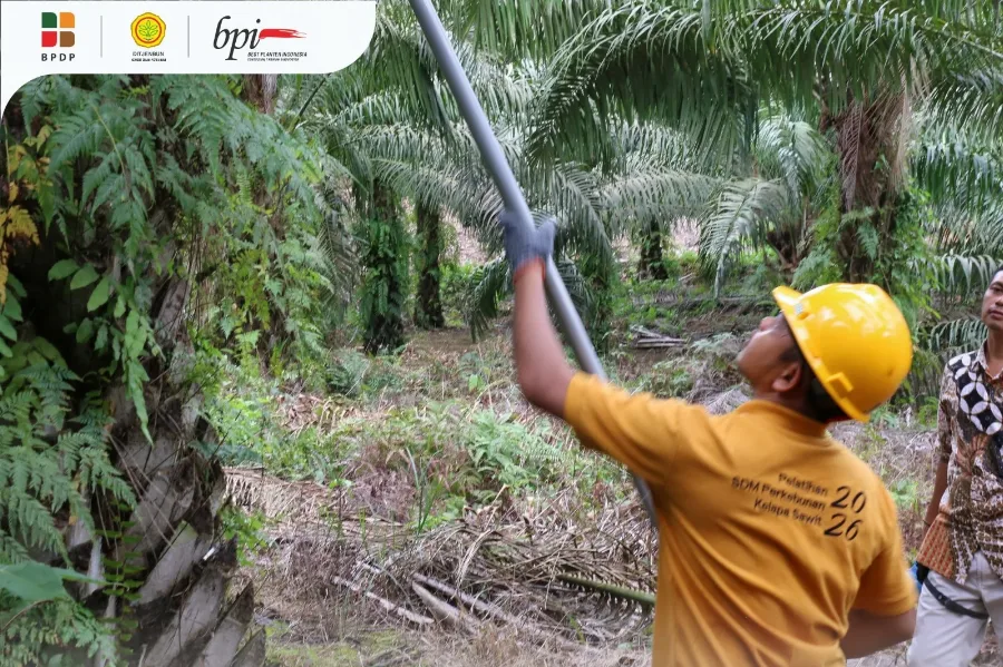 BPI dan BPDP Gelar Pelatihan Teknis Budidaya Kelapa Sawit Untuk Pekebun Aceh Timur