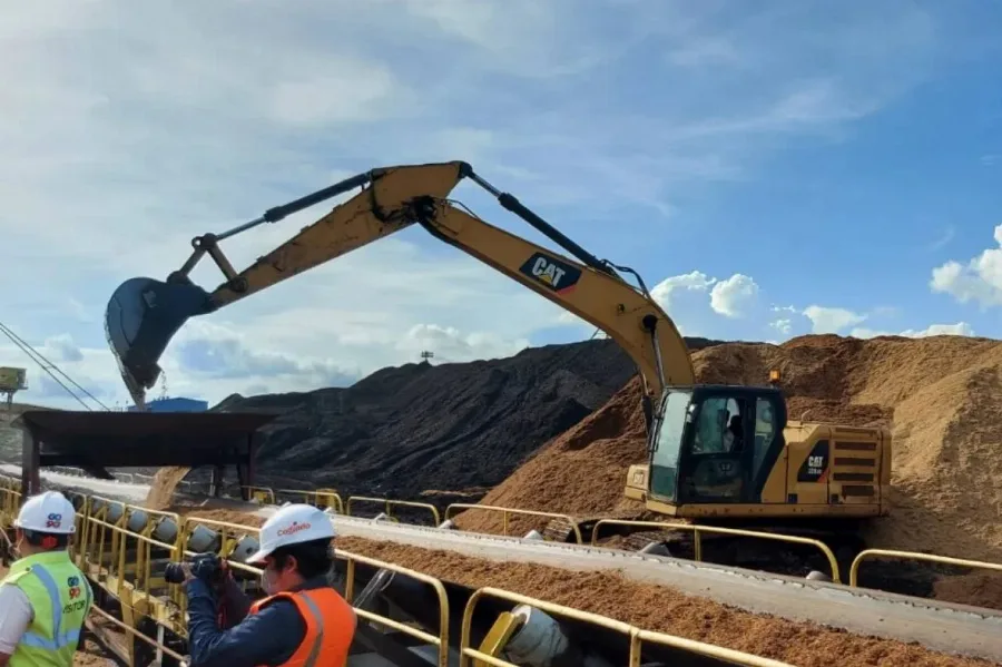 Bidik Potensi 60,6 Juta Ton Biomassa, PLN EPI Terbentur Masalah Rantai Pasok dan Keekonomian