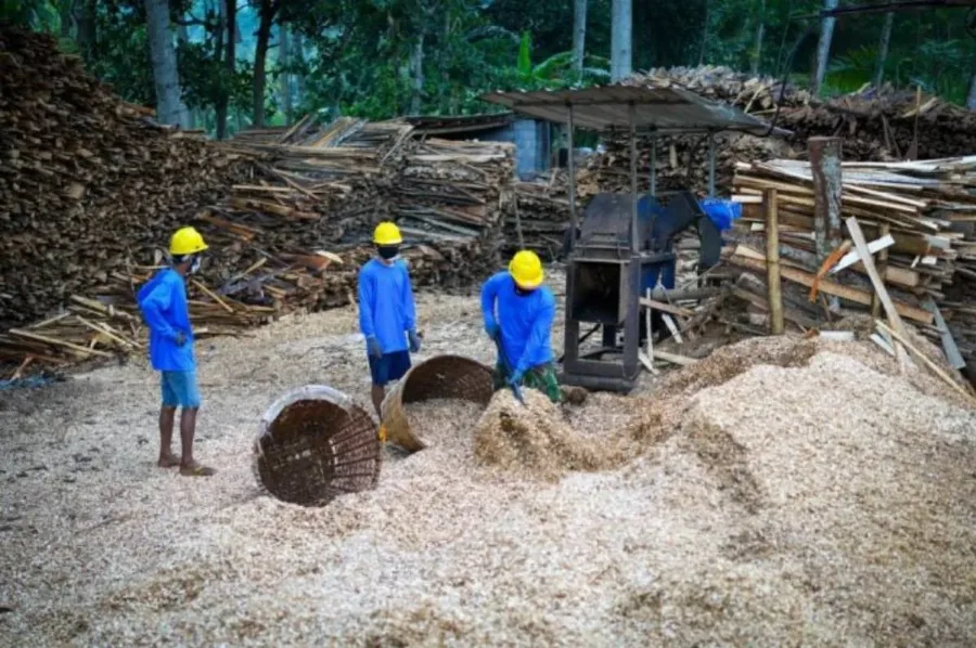 Serap 10 Juta Ton Biomassa, PLN EPI Proyeksi Penciptaan 150 Ribu Green Jobs dan Pangkas 12 Juta Ton Emisi